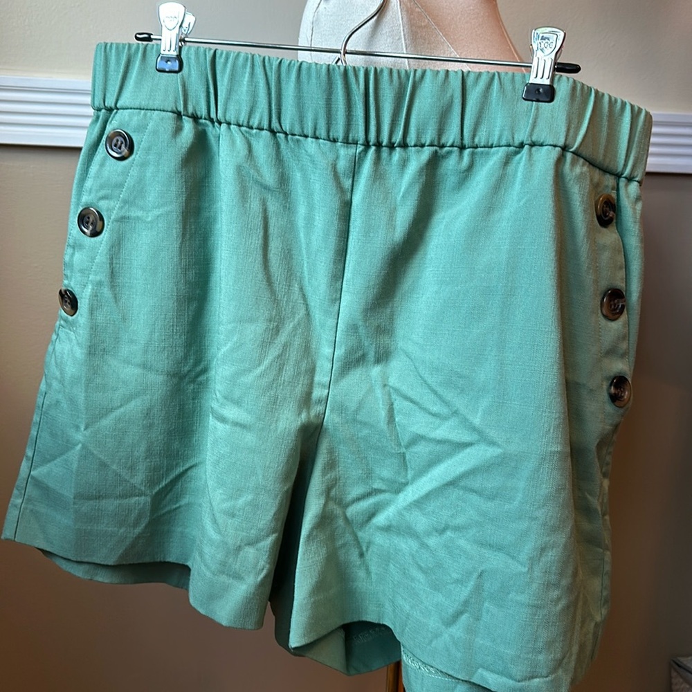 Ann Taylor Green sailor button shorts